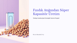 Fındık Atığından Süper Kapasitör Üretim 2 1 1 Murat Mustafa Ciritçi YÖNETİCİ ÖZETİ