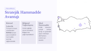 Fındık Atığından Süper Kapasitör Üretim 4 3 1 Murat Mustafa Ciritçi YÖNETİCİ ÖZETİ