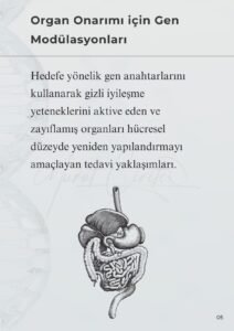 WhatsApp Image 2026 01 27 at 22.31.01 Murat Mustafa Ciritçi GENETİK TIBBIN DEVRİMİ Bilimin ve Sağlığın Yeni Ufku 💉 Gen terapileri, hücre yenileme yöntemleri, nanoteknoloji destekli kan temizleme ve kişiye özel tedaviler… Bunlar artık bilim kurgu değil, sağlığın yeni gerçekliği. 🇹🇷 Bu alanlar yalnızca tıbbi gelişmeler değil; Türkiye’nin bilimde, sağlıkta ve gelecekte söz sahibi olmasının anahtar başlıklarıdır. Doğru vizyon, yerli bilim ve güçlü irade ile bu devrim yakalanabilir. 📌 Bu içerikte; 🧬 Genetik tıp 🛡️ Bağışıklık ve metabolizma 🧪 Nanoteknoloji 🧠 Uzun yaşam yaklaşımları detaylı şekilde ele alınıyor.