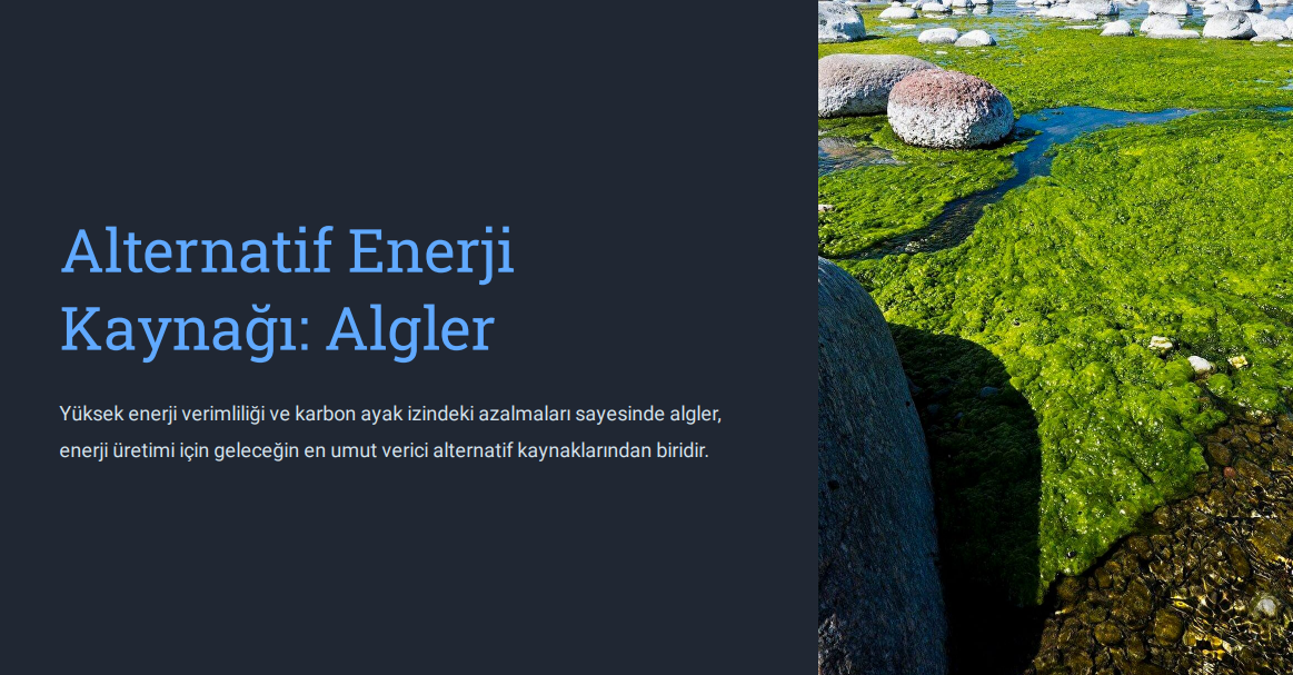 13 Murat Mustafa Ciritçi Alternatif Enerji