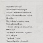 6 2 Murat Mustafa Ciritçi İçindekilerI. KalabalıkII. BakışIII. DuruşIV. ÇatlakV. YargıVI. ZehirVII. İç SesVIII. İnişIX. Kalan